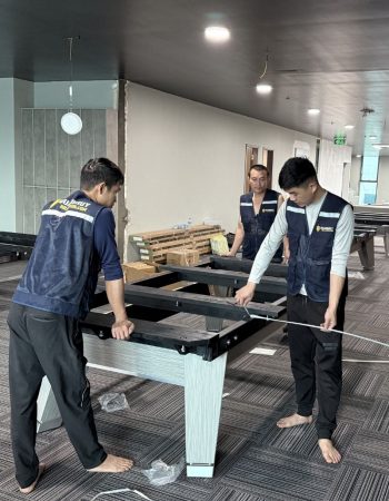 Miễn phí vận chuyển lắp đặt bàn bida Aileex chính hãng 1